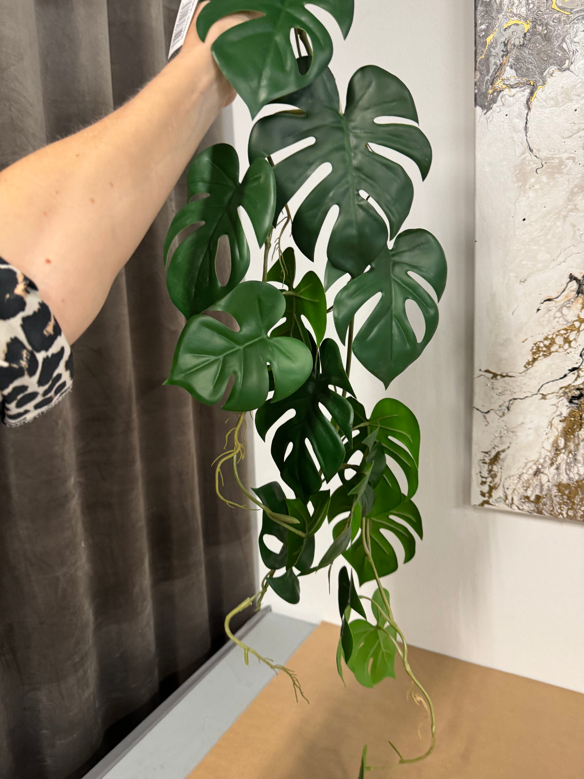 Hænge plante m. Fejl