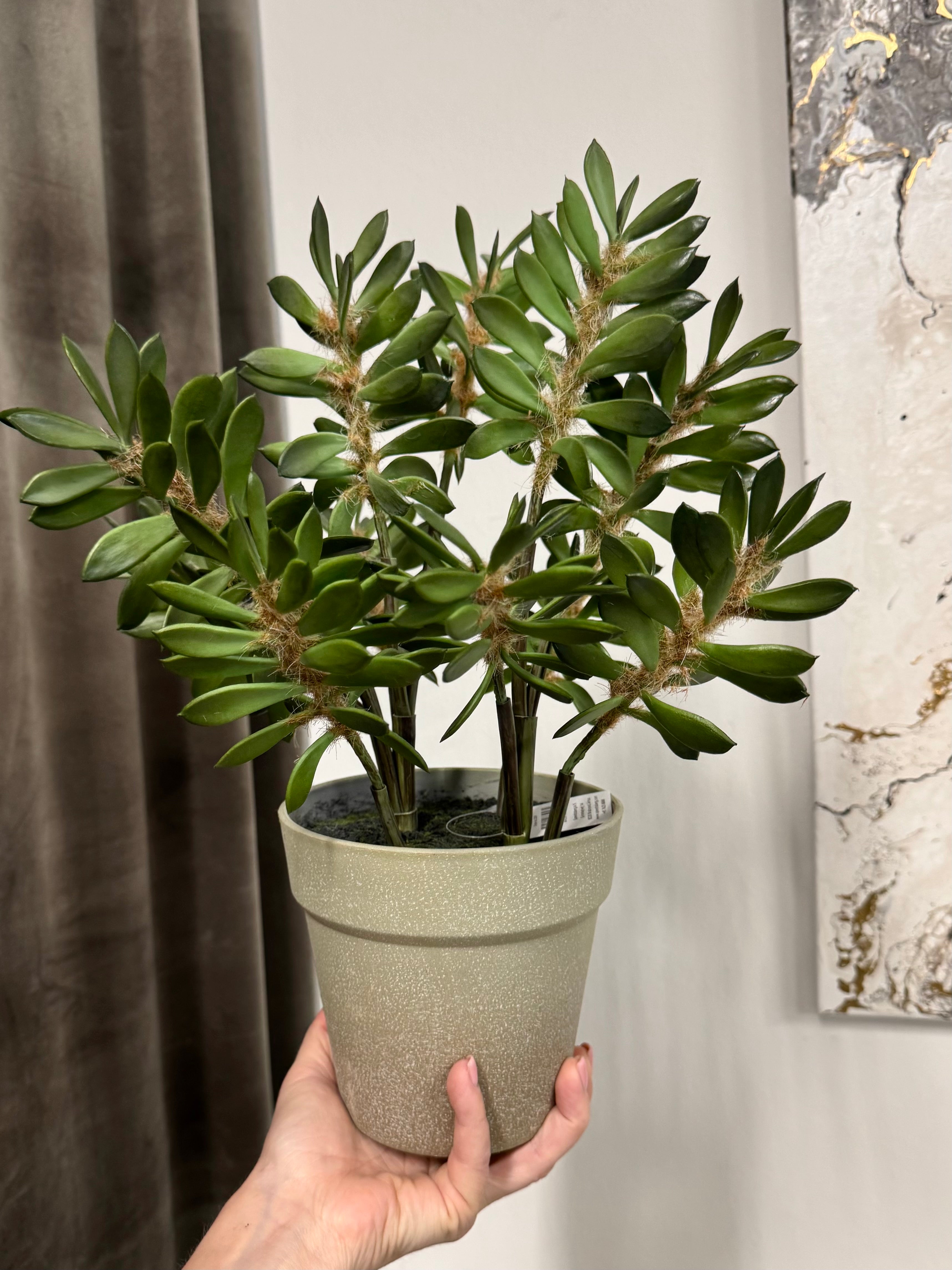 Sukkulent grøn 38 cm