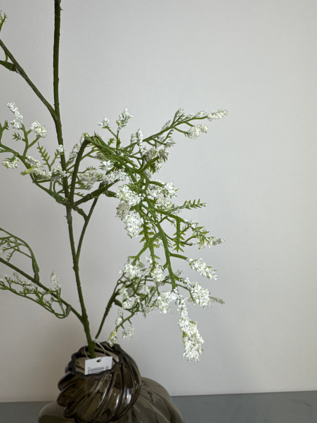 Limonium hvid