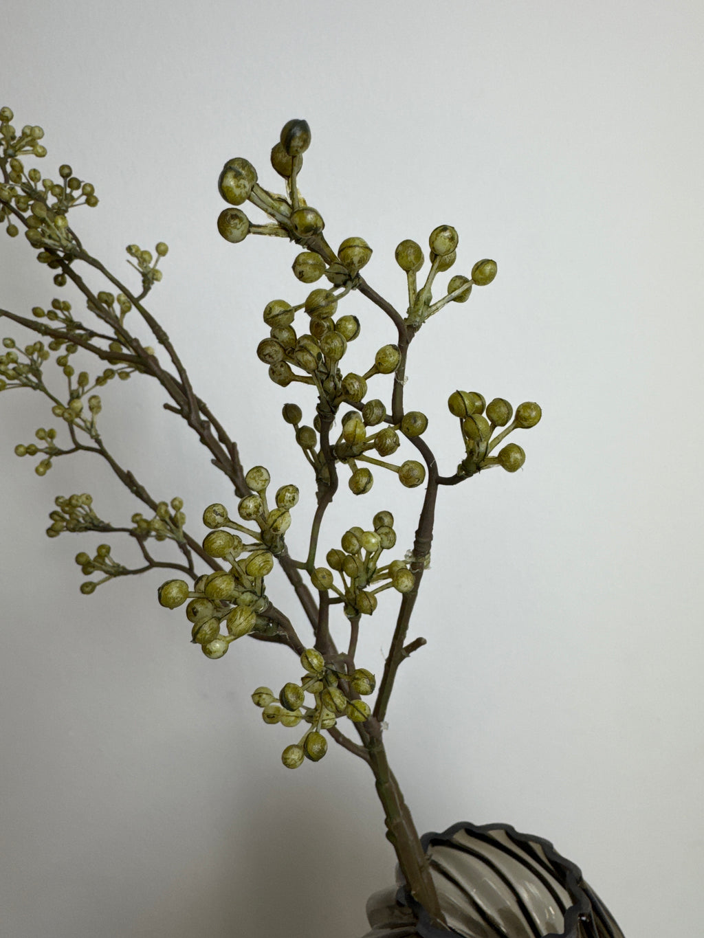 Bærgren olivengrøn