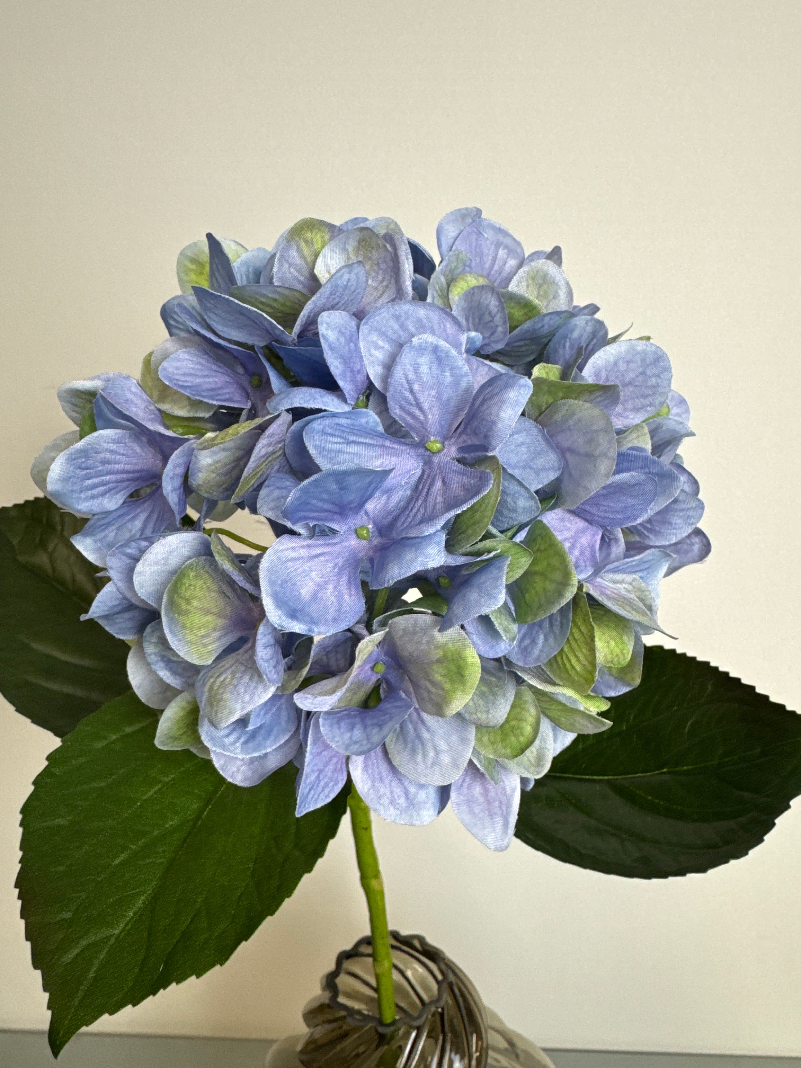Deluxe Hortensia blå