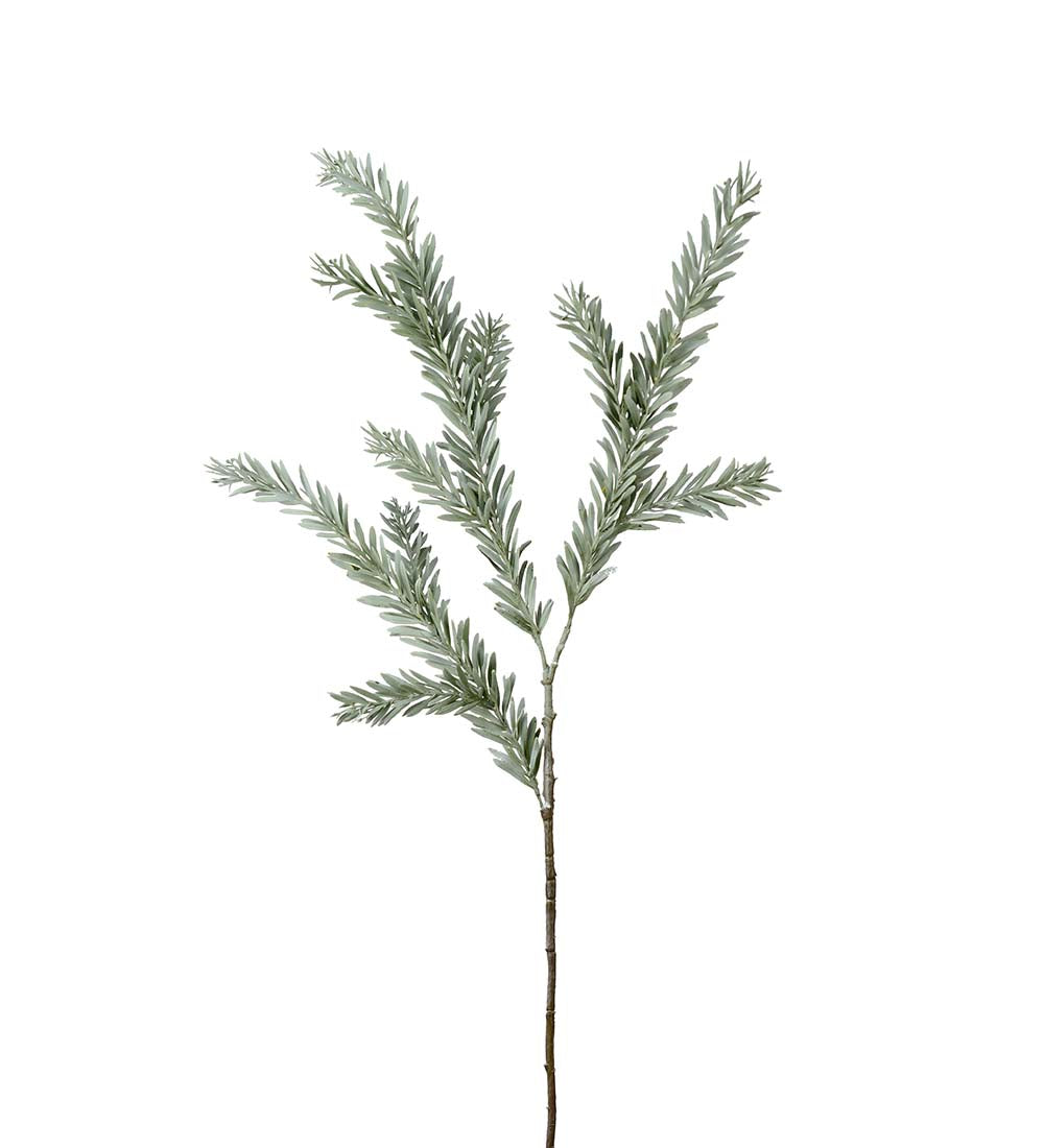 Kvist 100 cm