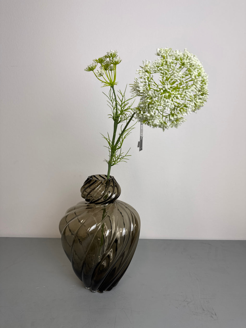 Hvid skærm blomst stilk