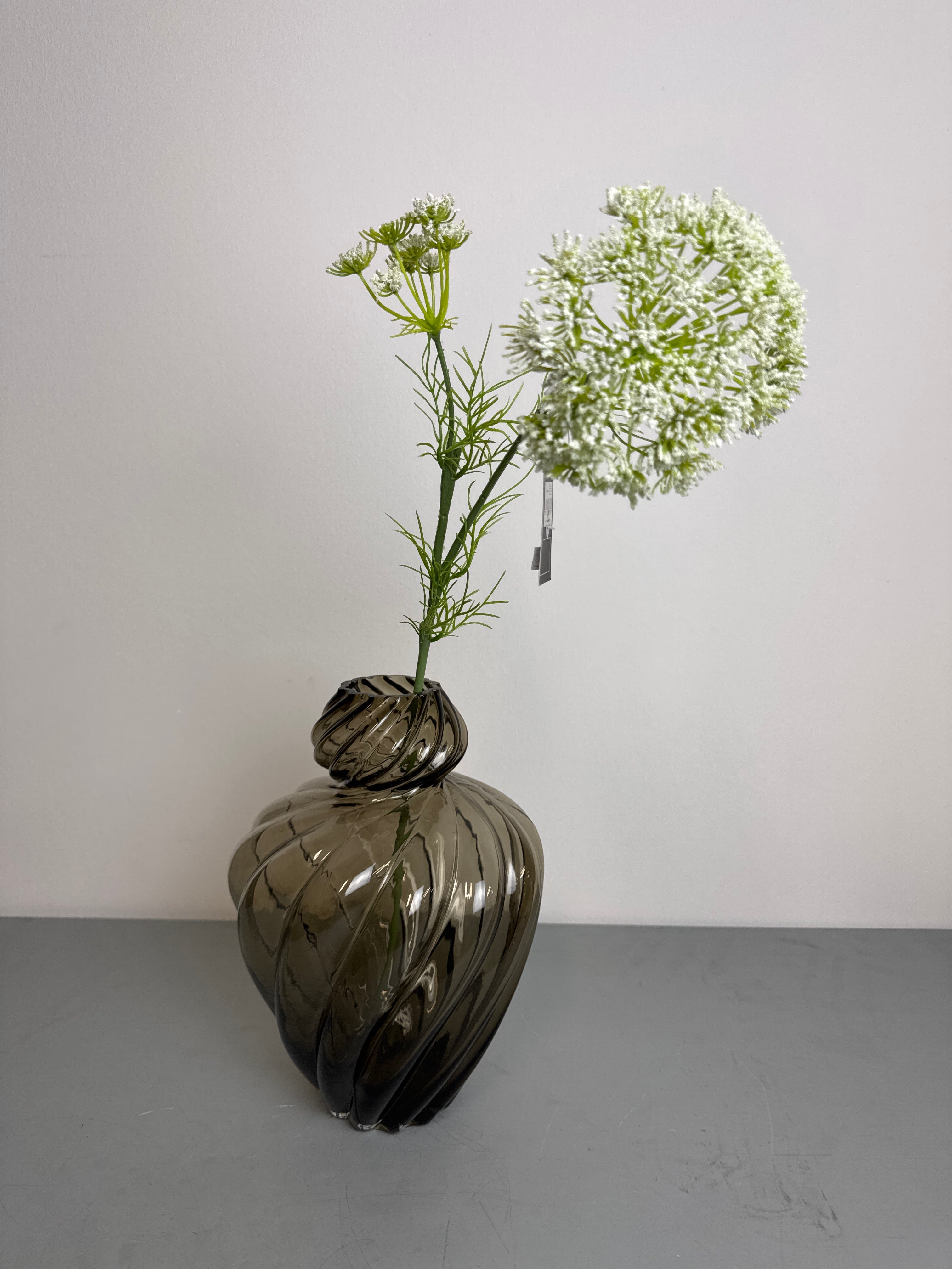 Hvid skærm blomst stilk