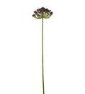 Bærkvist lilla 63 cm