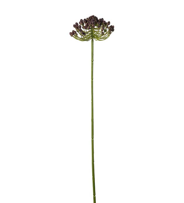 Bærkvist lilla 63 cm