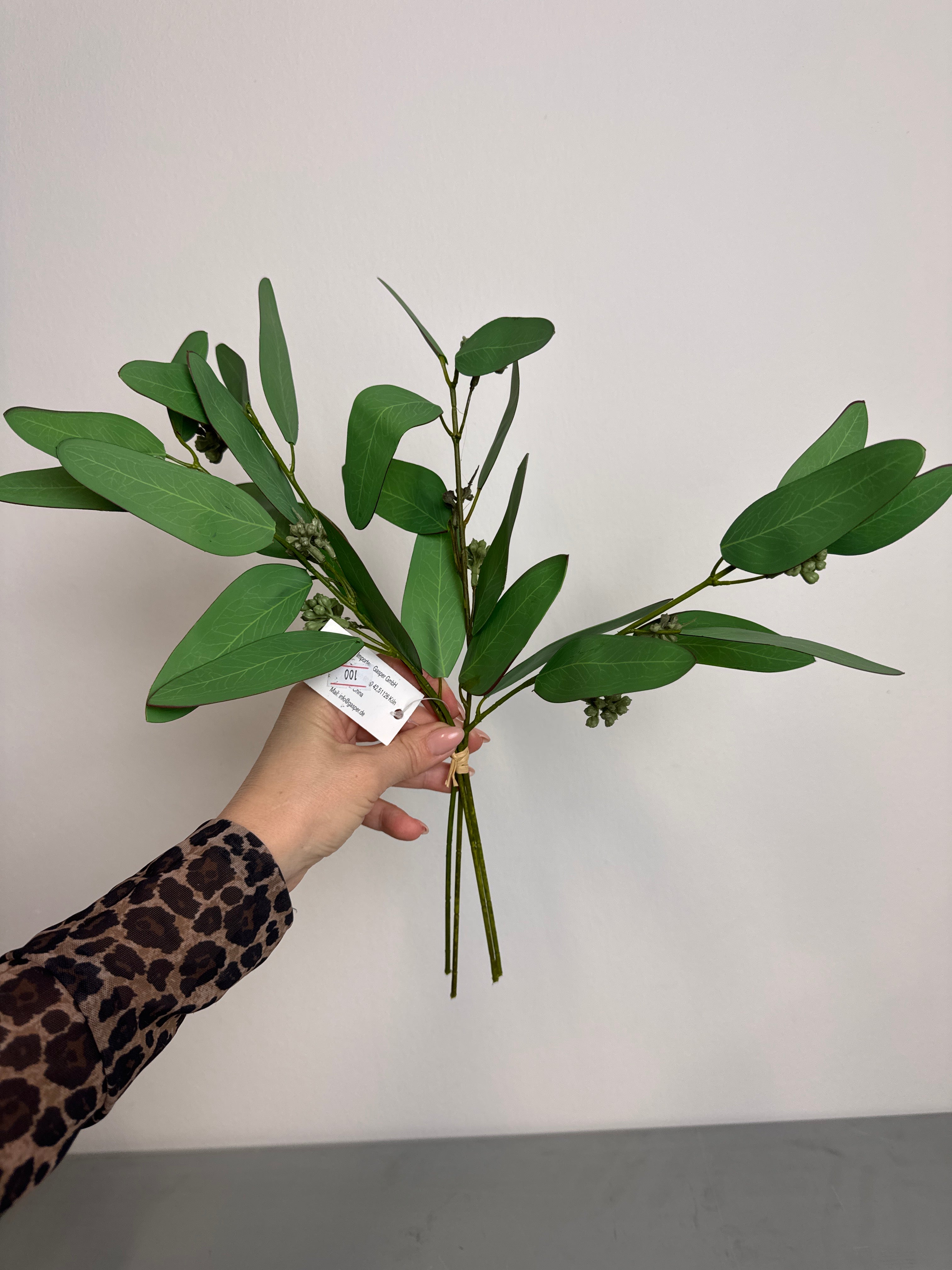 Lille bær eucalyptus