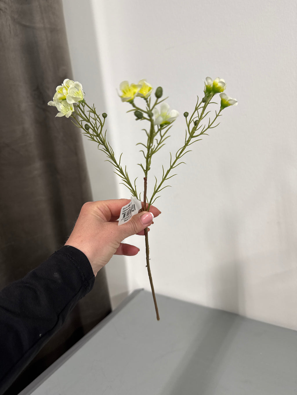 Voksblomst hvid/gul
