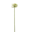 Bærkvist lys 63 cm