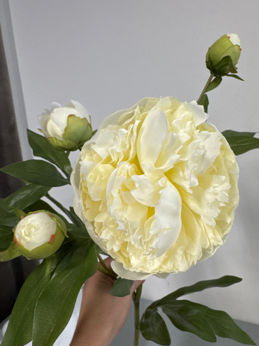 Pæon hvid 65 cm