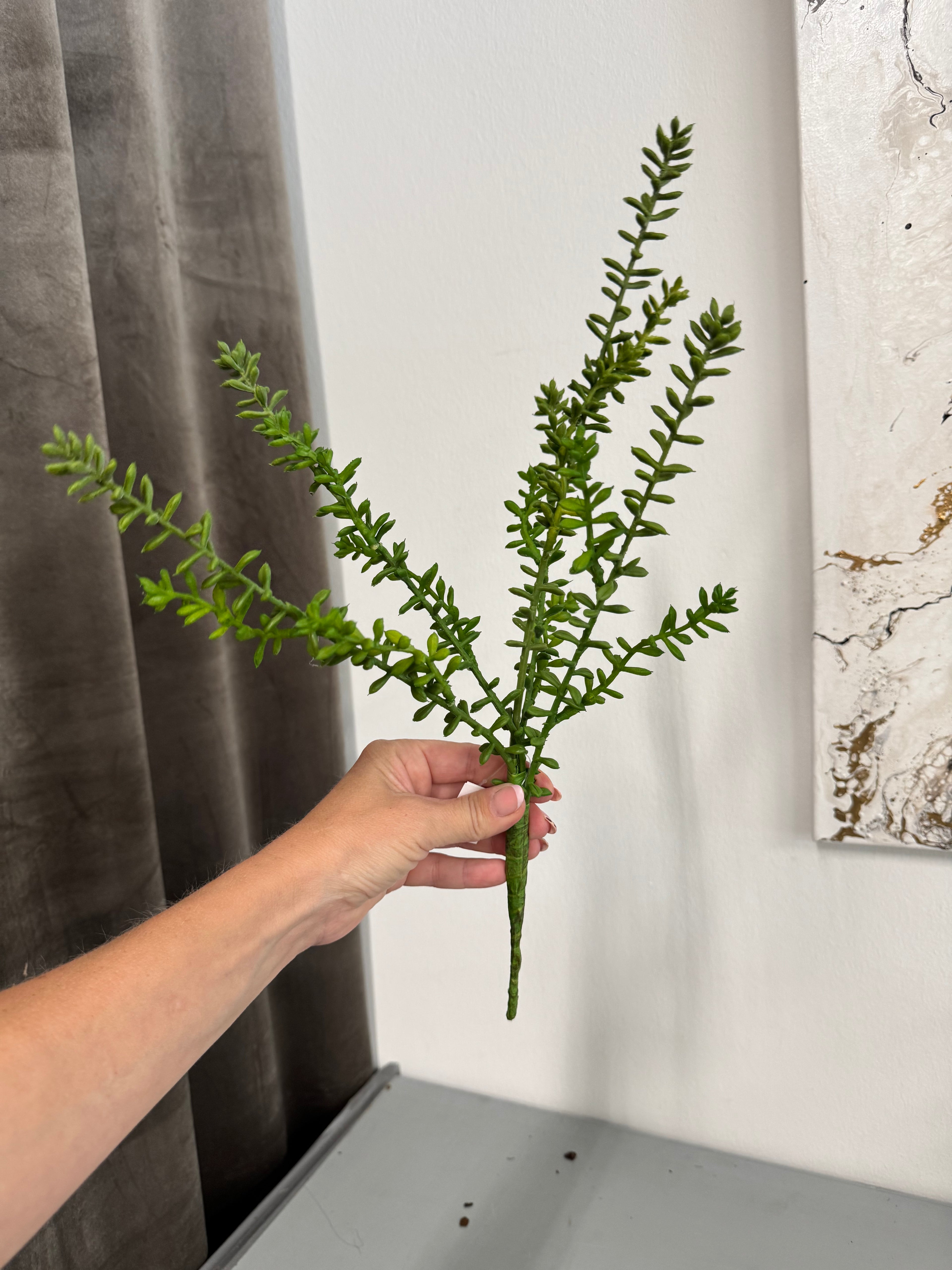 Sedum stilk 41 cm