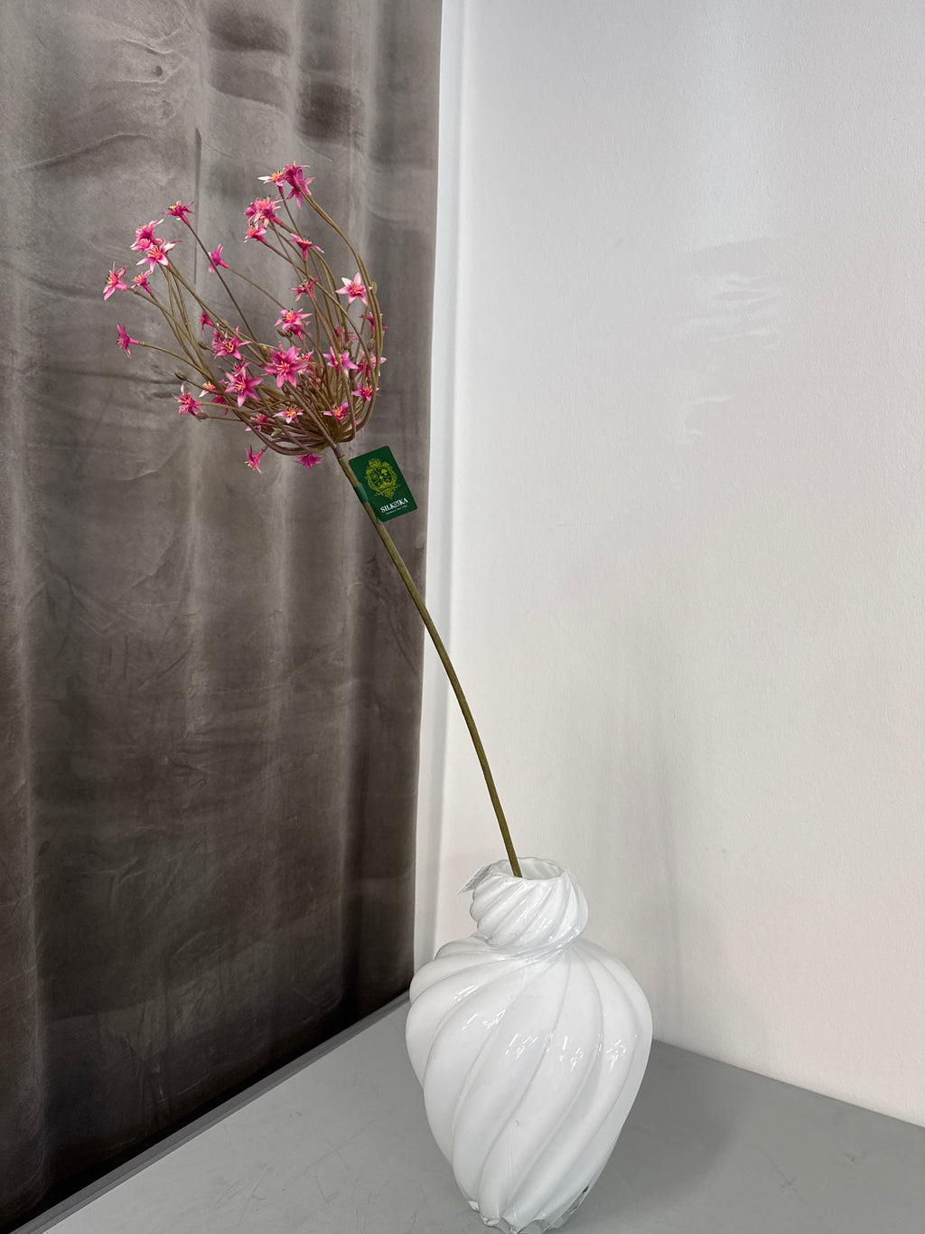 Allium pink