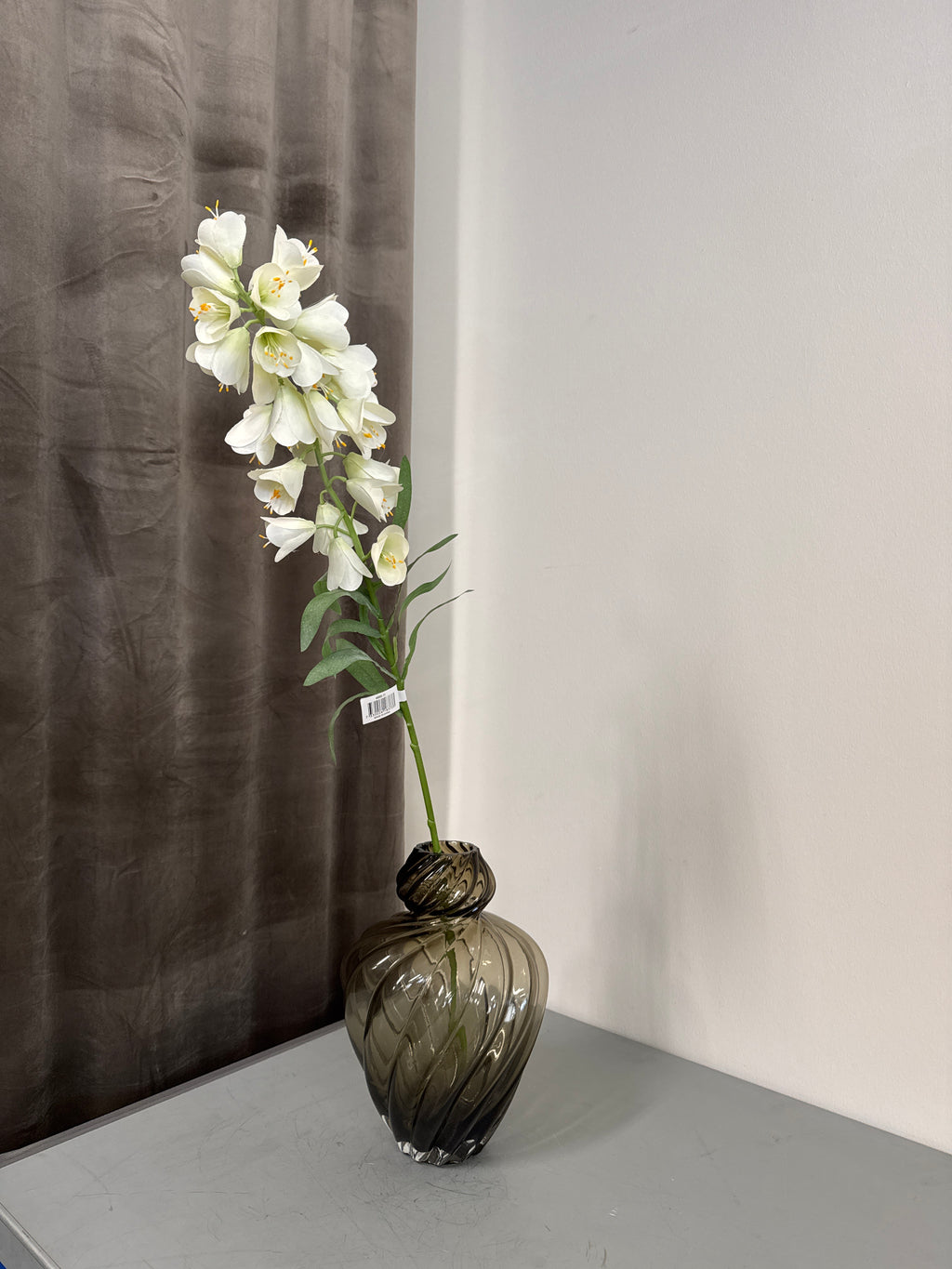 Hvid fritillaria stor