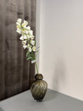 Hvid fritillaria stor