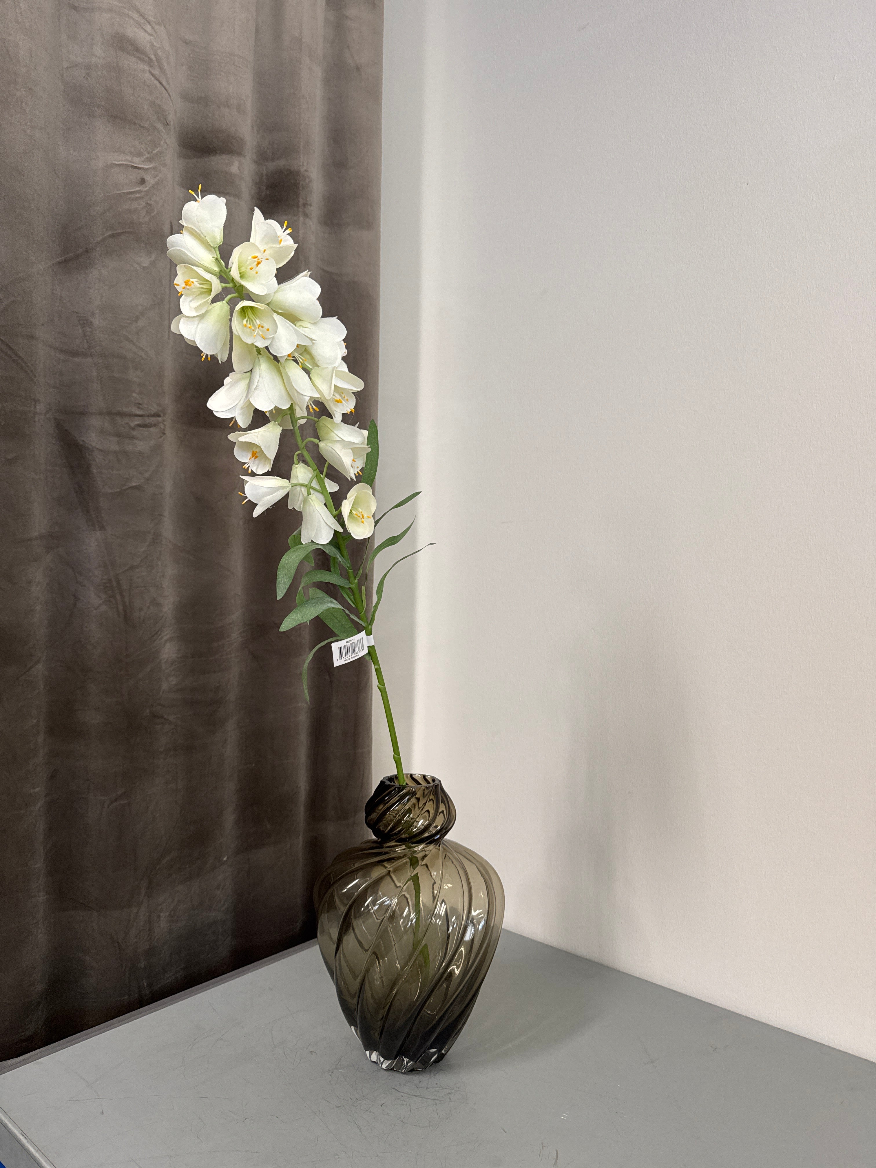 Hvid fritillaria stor