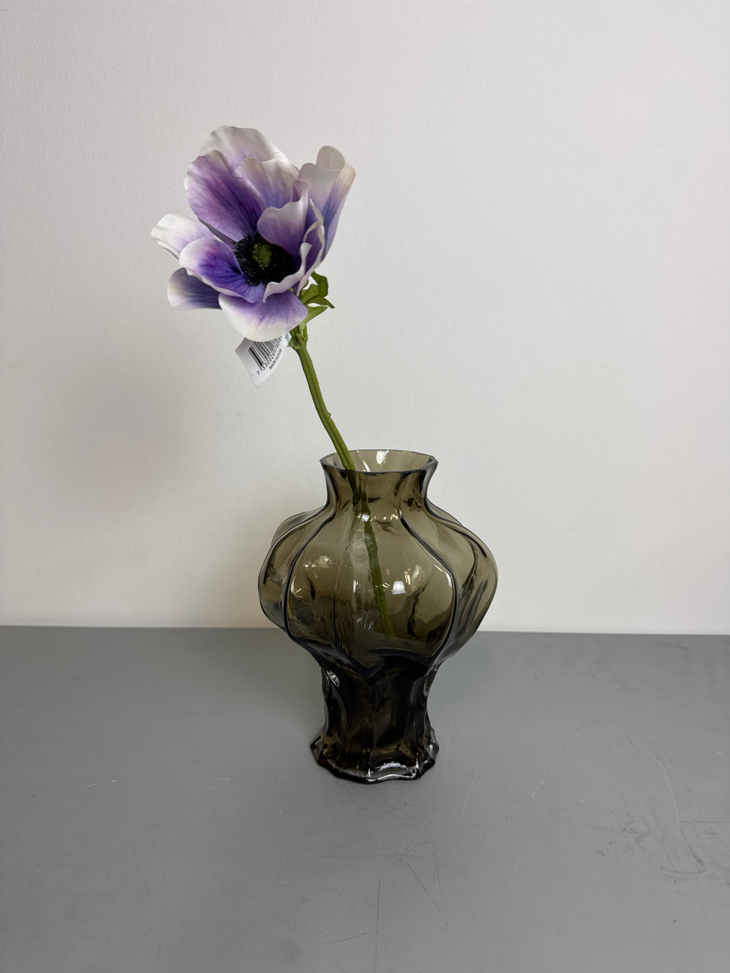 Anemone single lilla