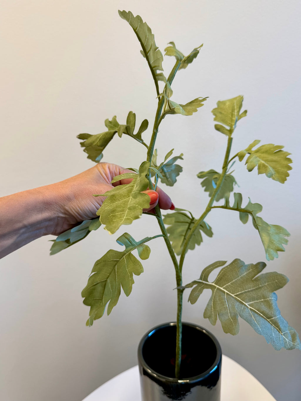 Silverek “plantet” i potte