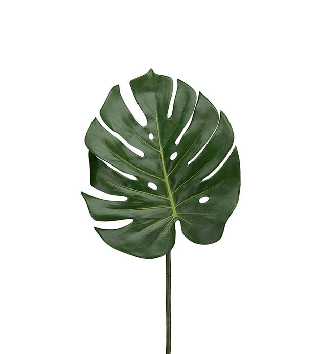 Monstera blad 60 cm