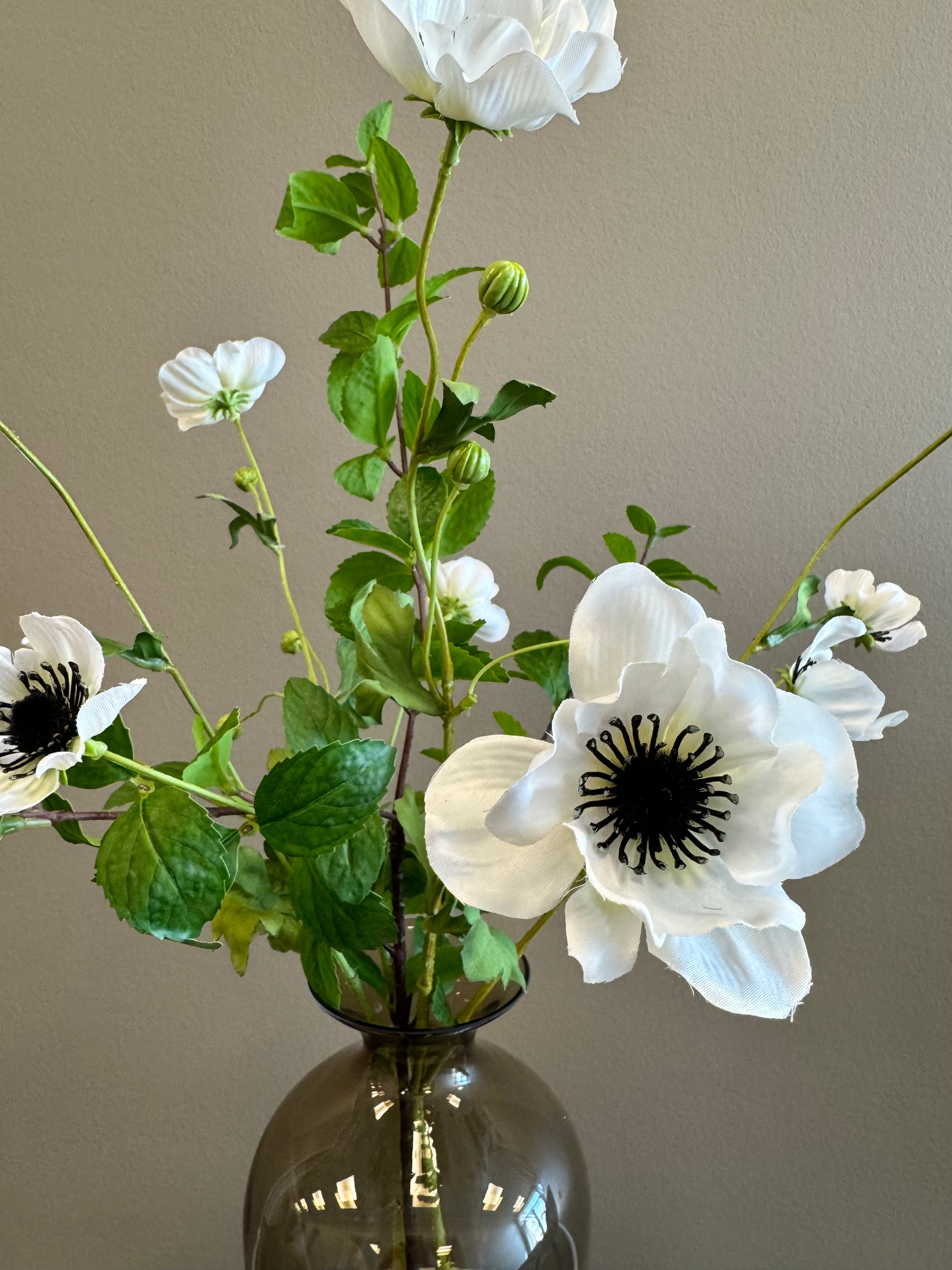 Anemone mix hvid