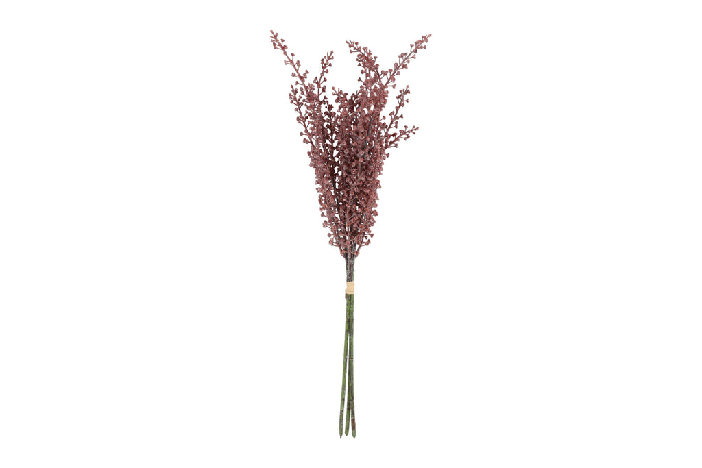 Phytolacca bundt m/ 3 stk rosa h 60 cm