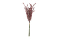 Phytolacca bundt m/ 3 stk rosa h 60 cm