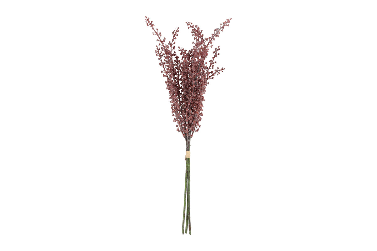 Phytolacca bundt m/ 3 stk rosa h 60 cm
