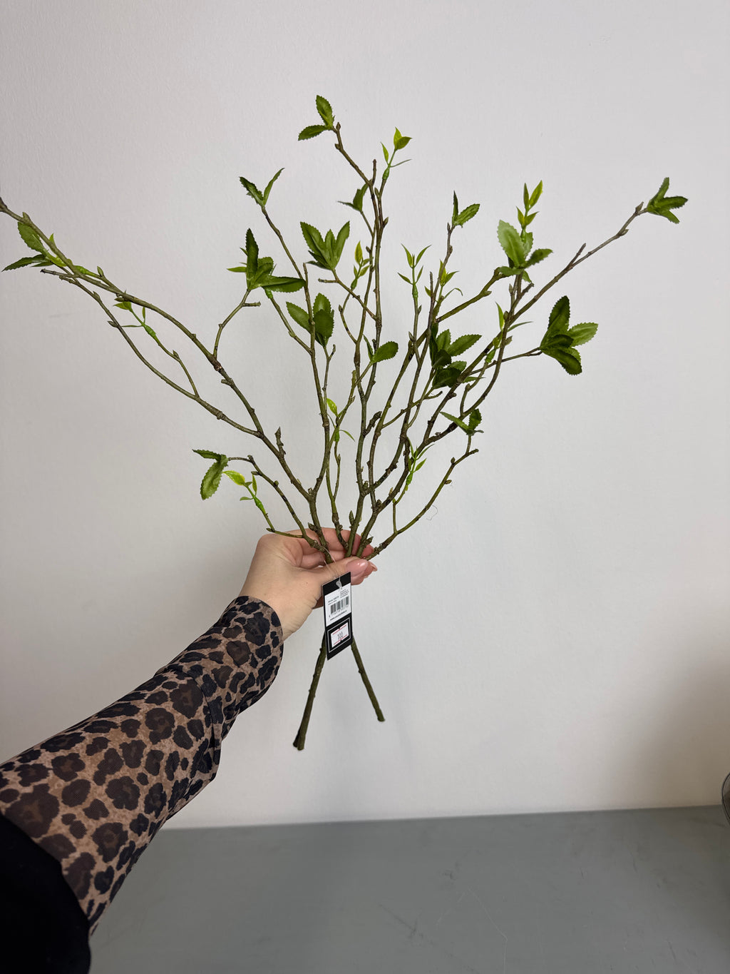 Grene med udsprunget blade