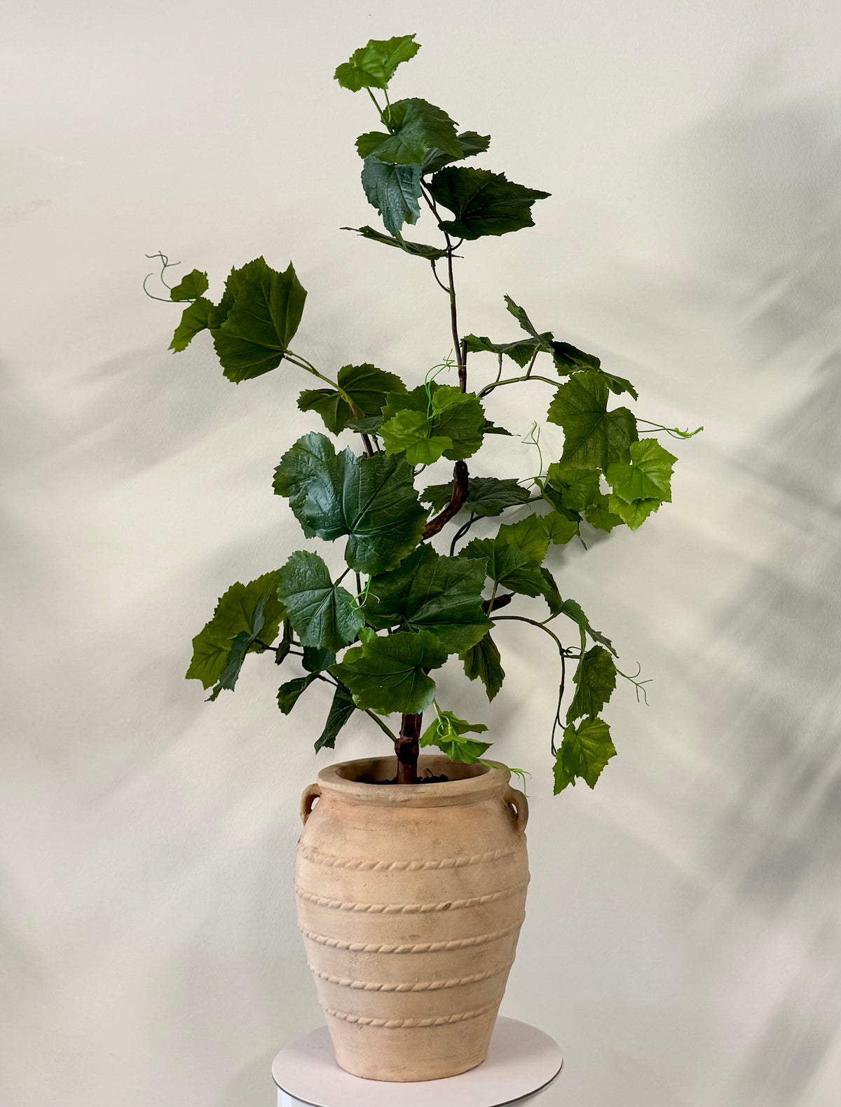 Vinstok plante 90 cm