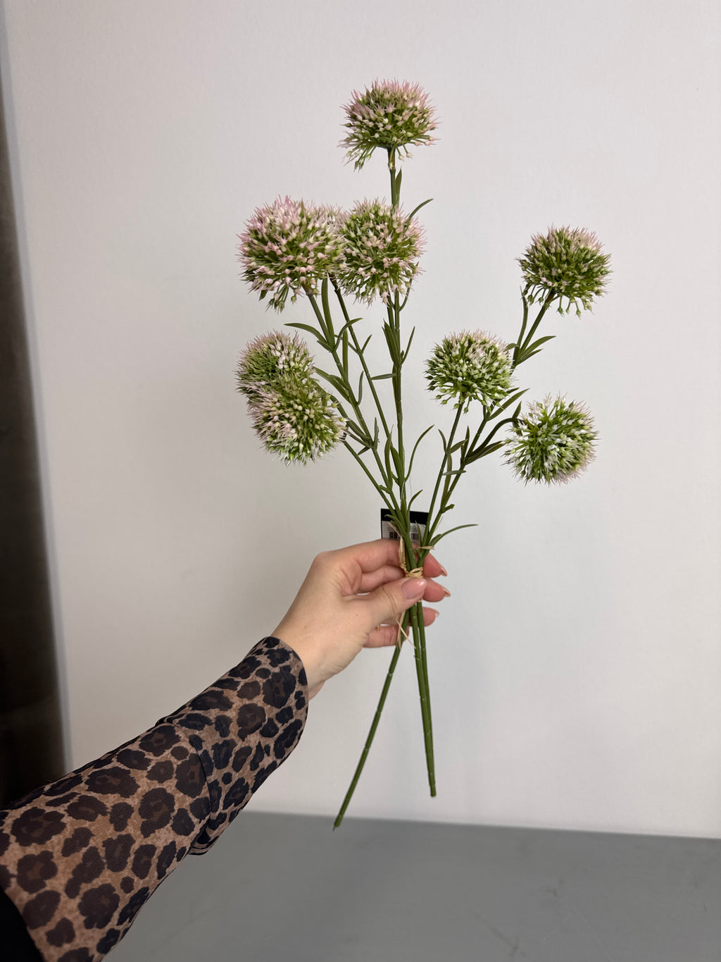 Allium lille lyserød