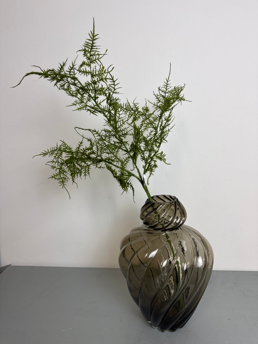 Bregne blad 3 kviste