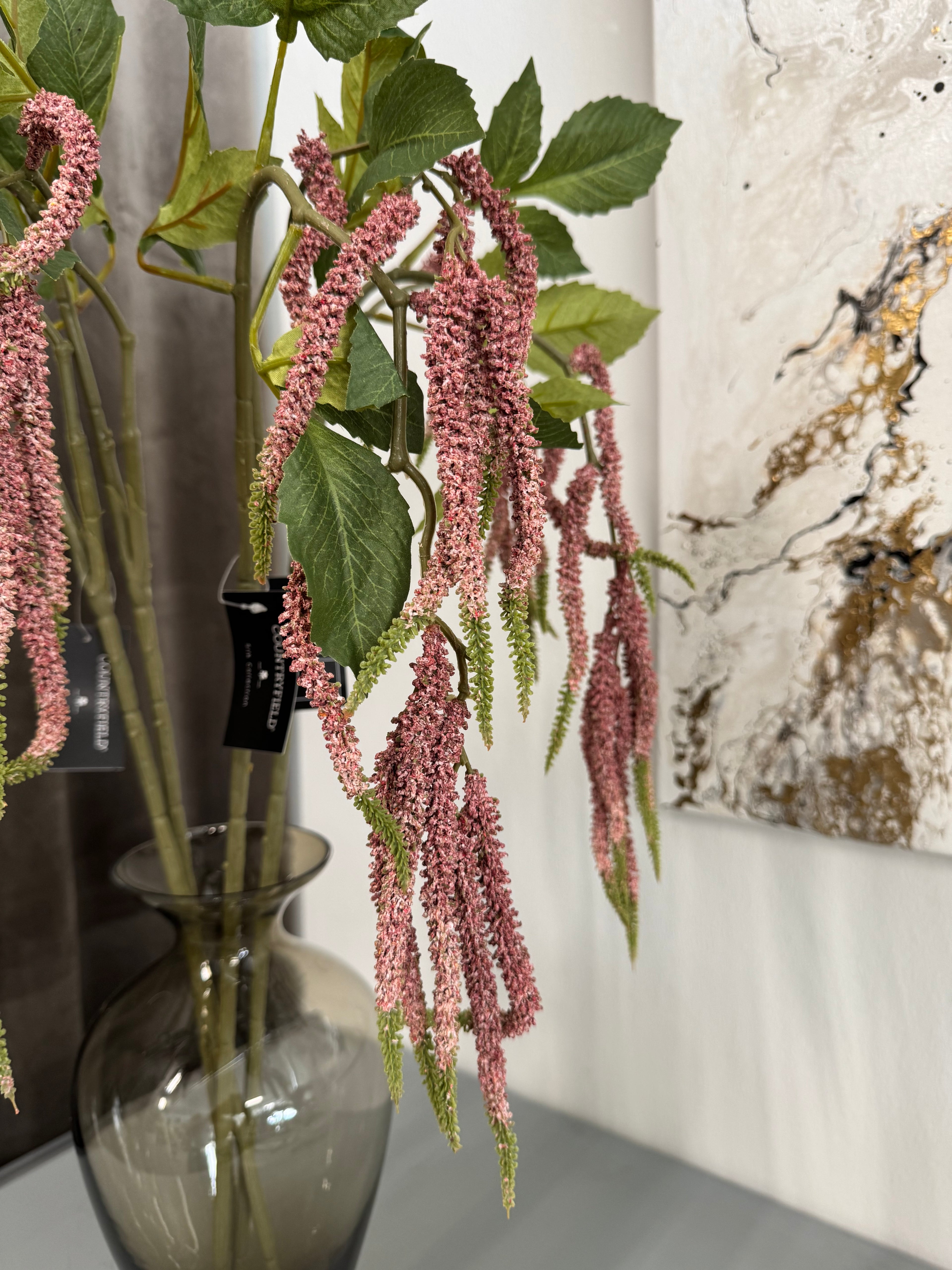 Amaranthus rosa hænge