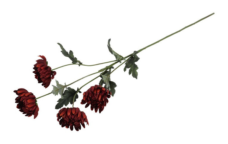 Chrysanthemum brun h 83 cm