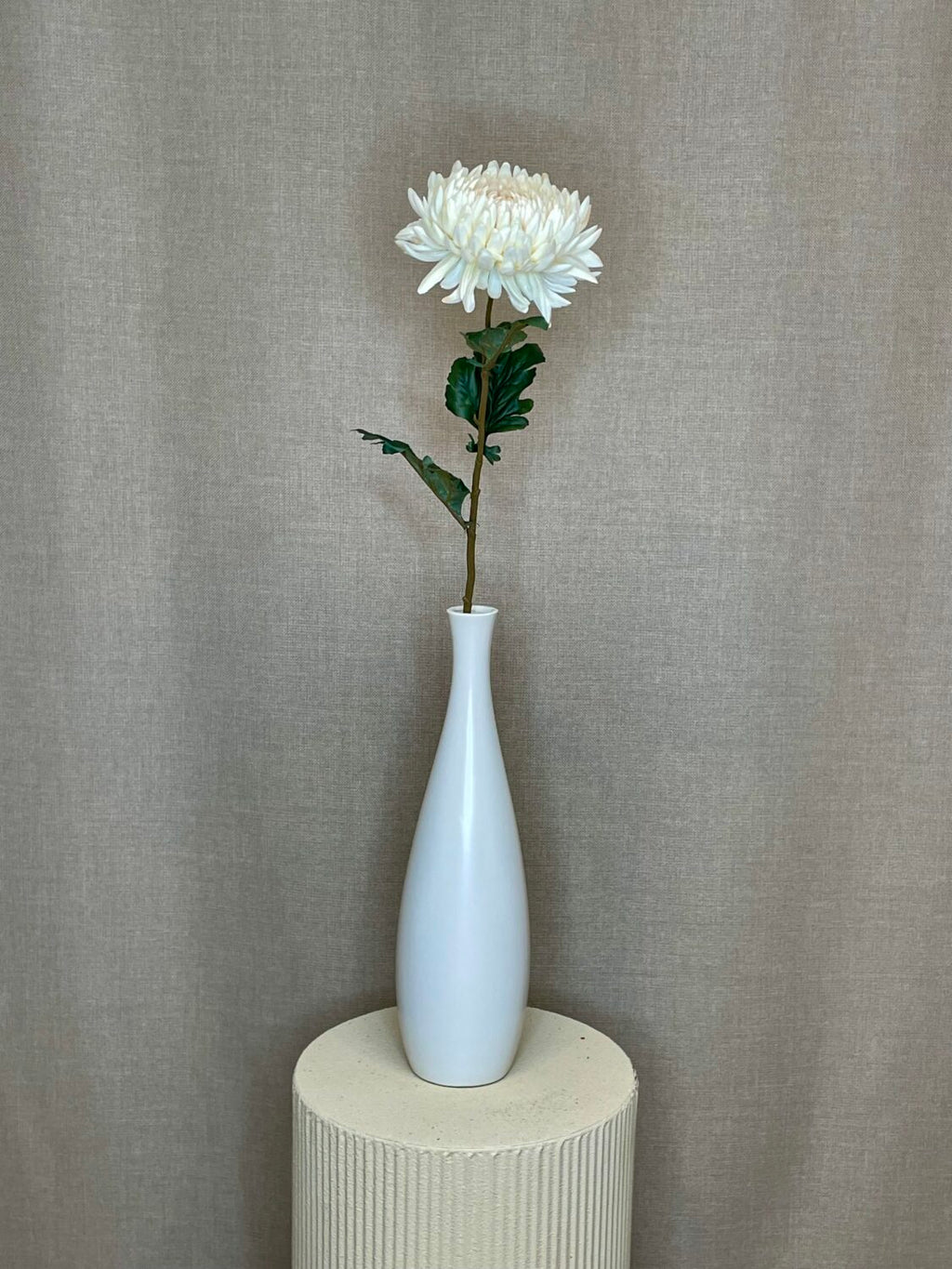 Chrysanthemum creme h 75 cm