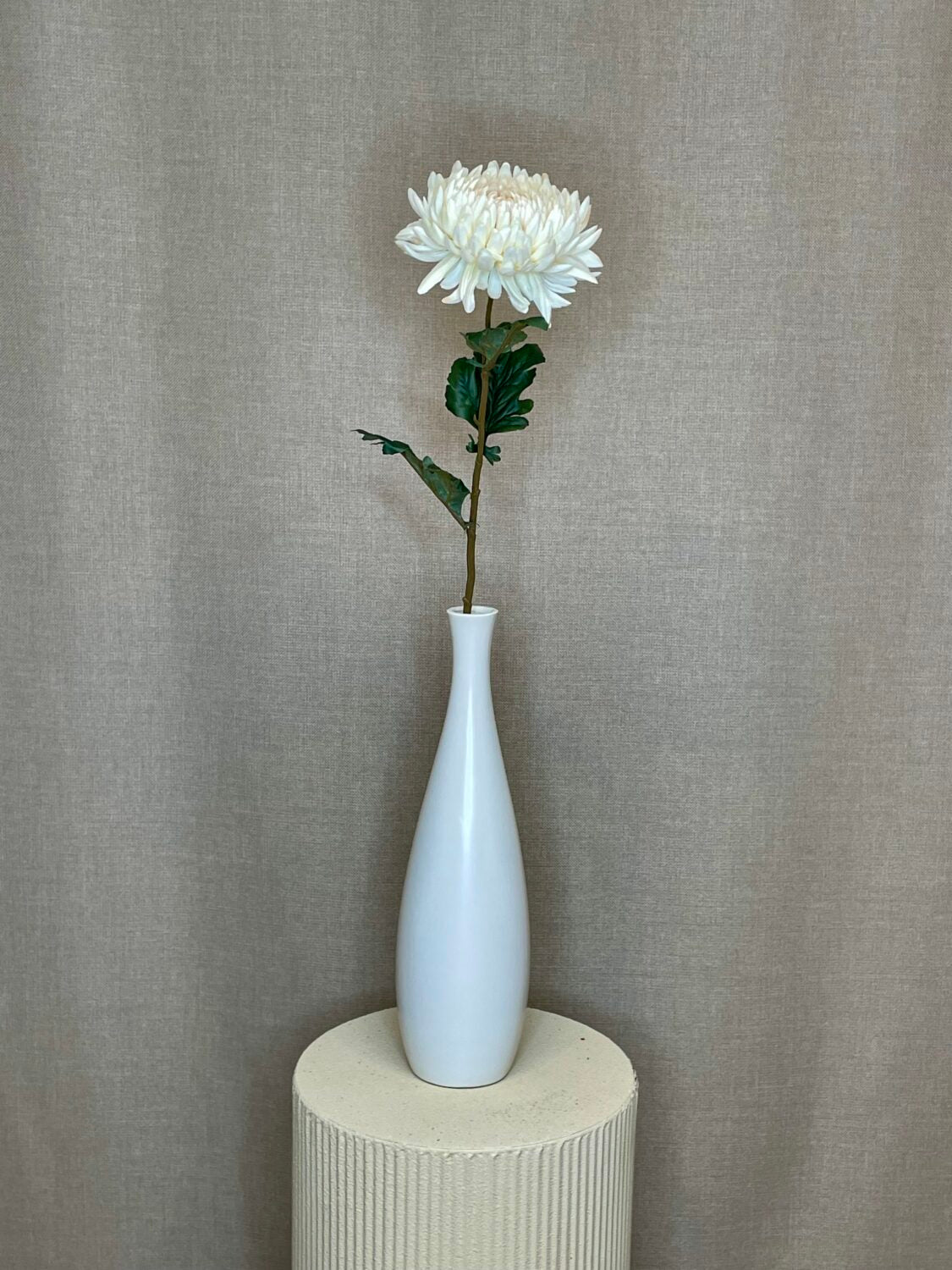 Chrysanthemum creme h 75 cm