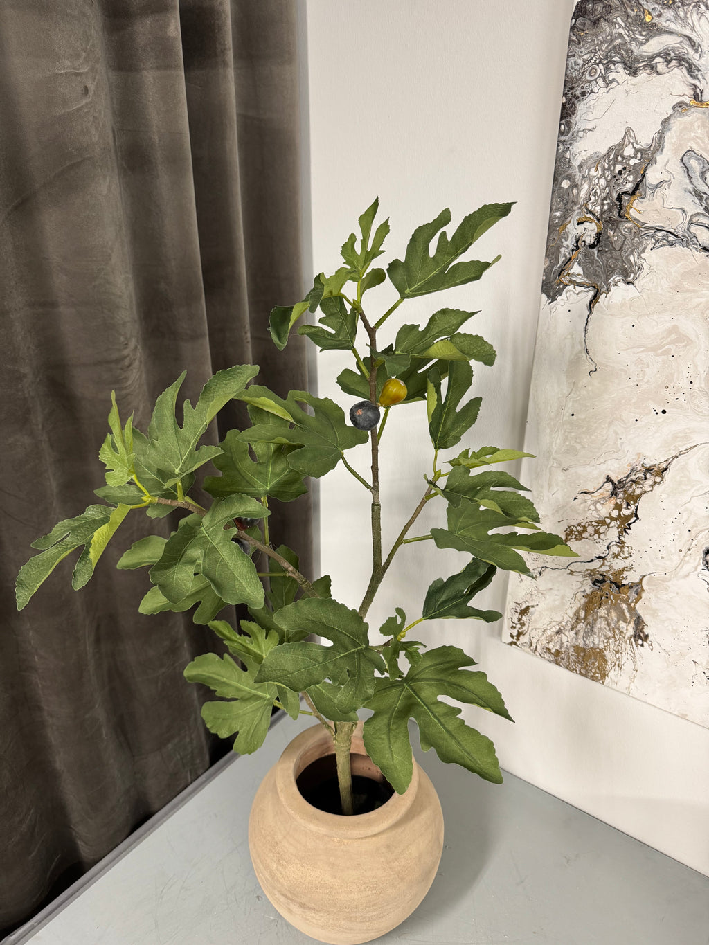 Figen træ 80 cm