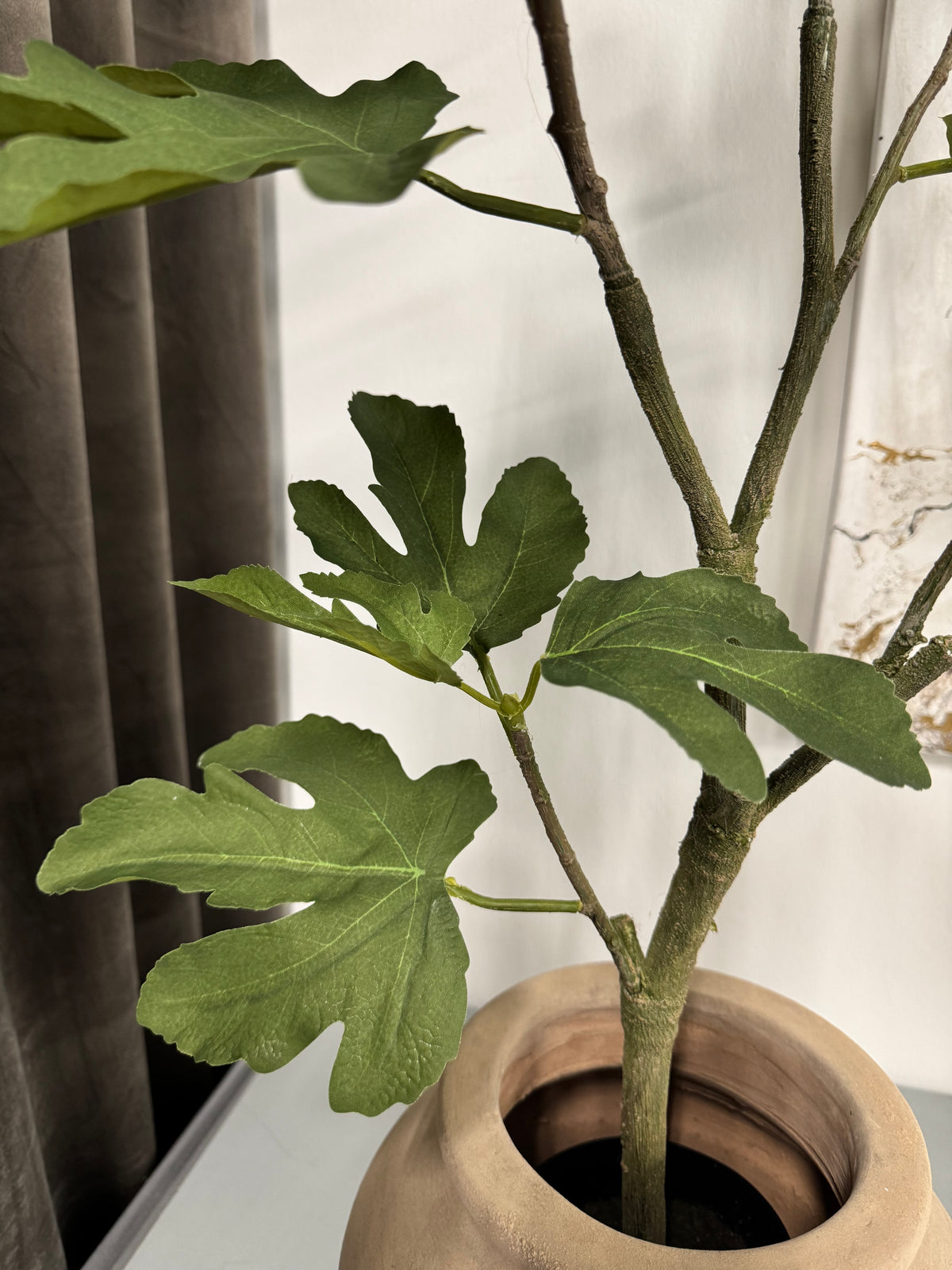 Figen træ 80 cm