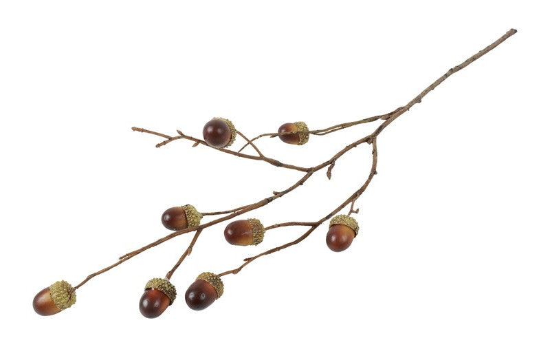 Gren m/agern h 56 cm