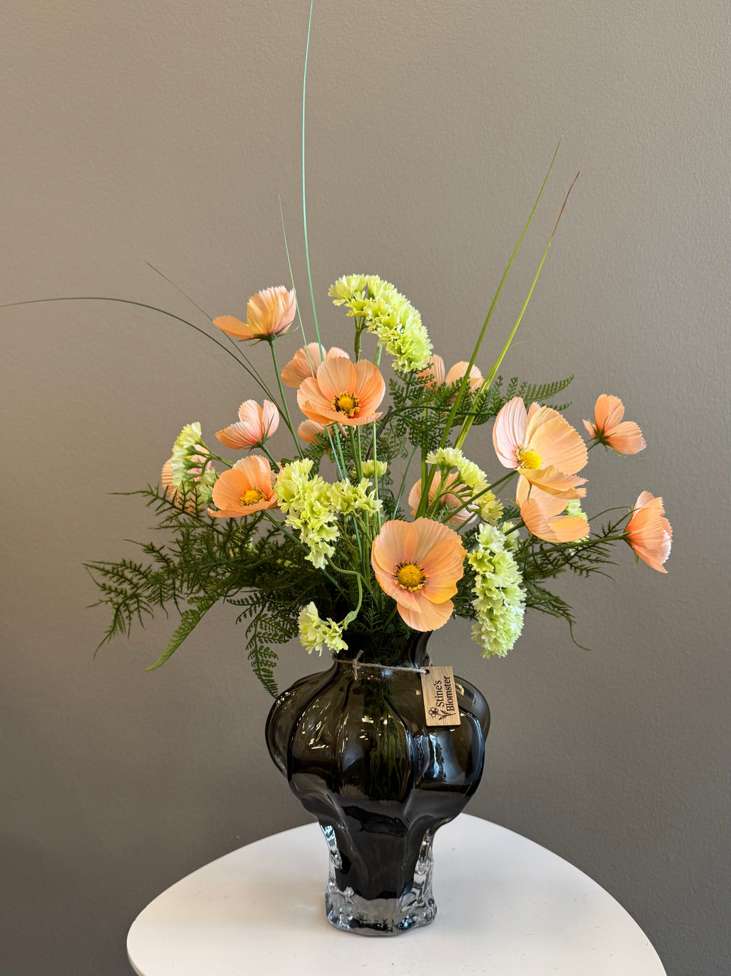 Cosmos peach 10