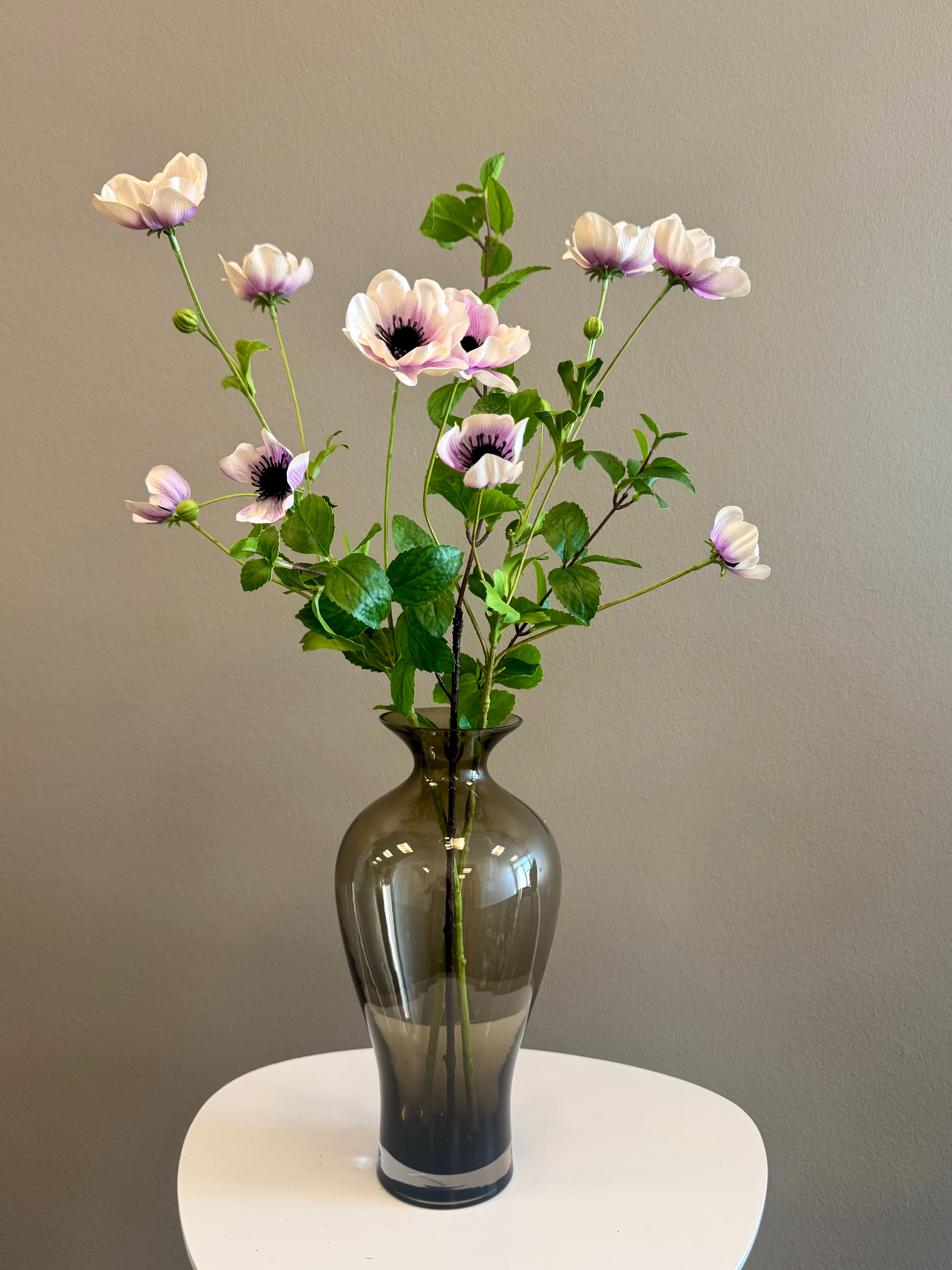 Anemone mix lilla