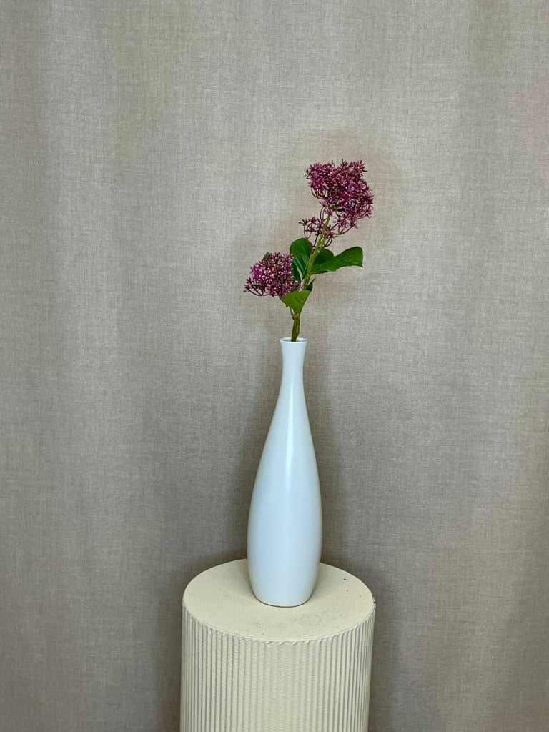 Skimmia purple h 65 cm