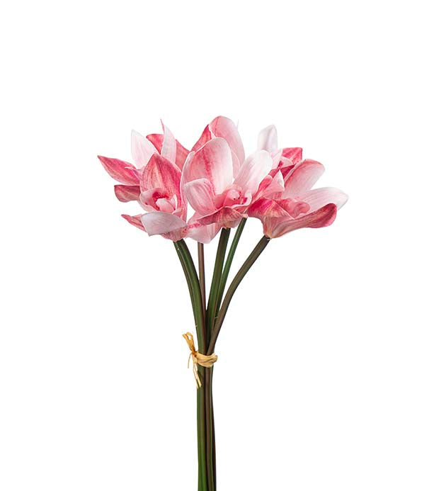 Cymbidium pink 34 cm