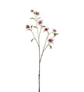 Clematis rosa 93 cm