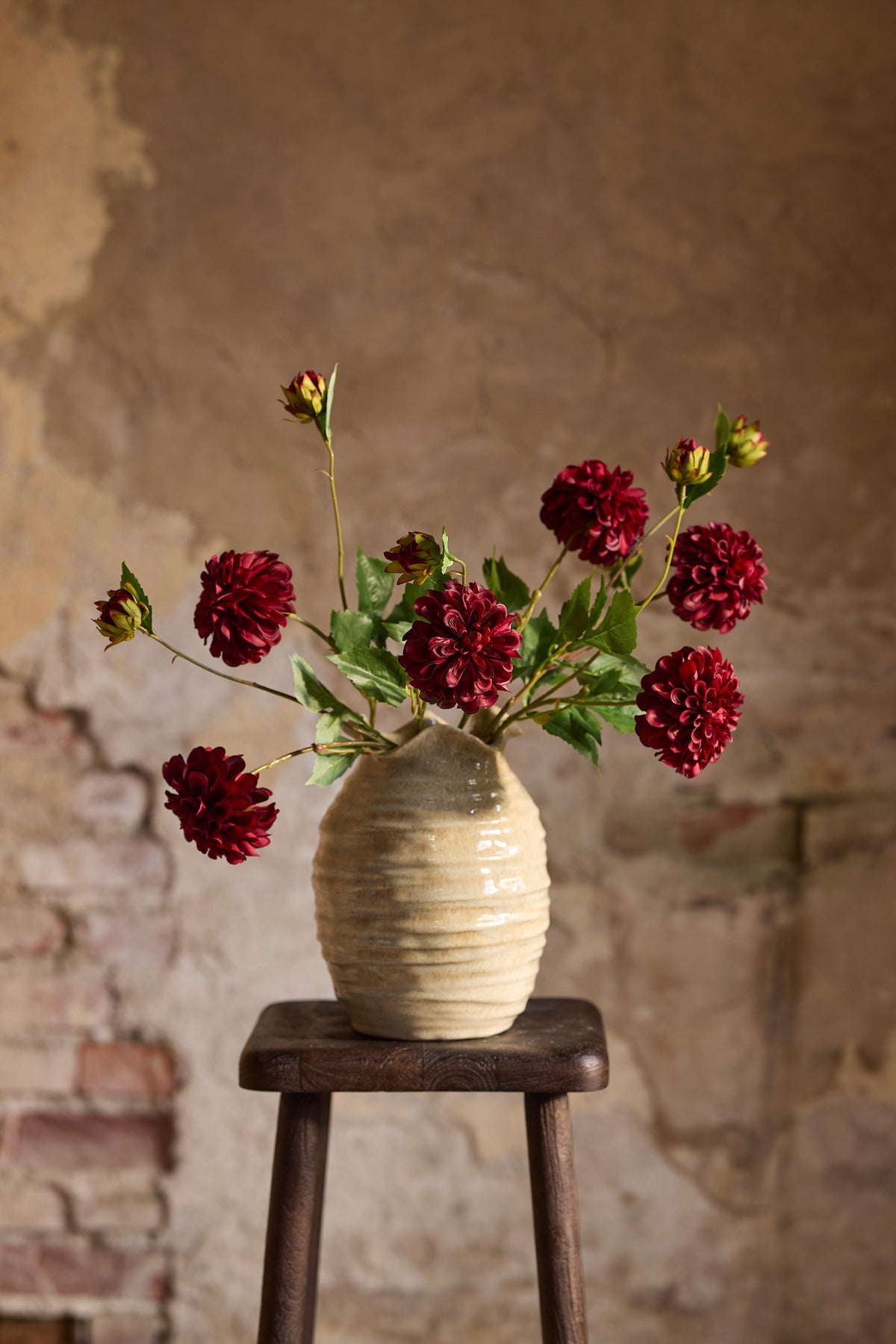 Georgine burgundy 52 cm