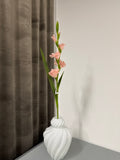 Gladiolus lyserød