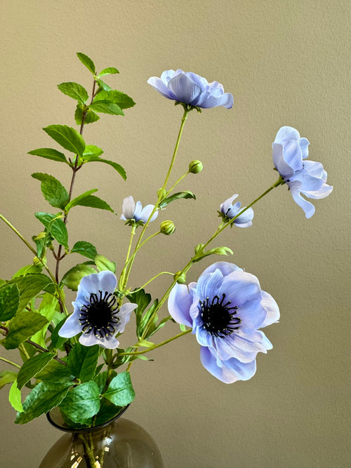 Anemone mix blå