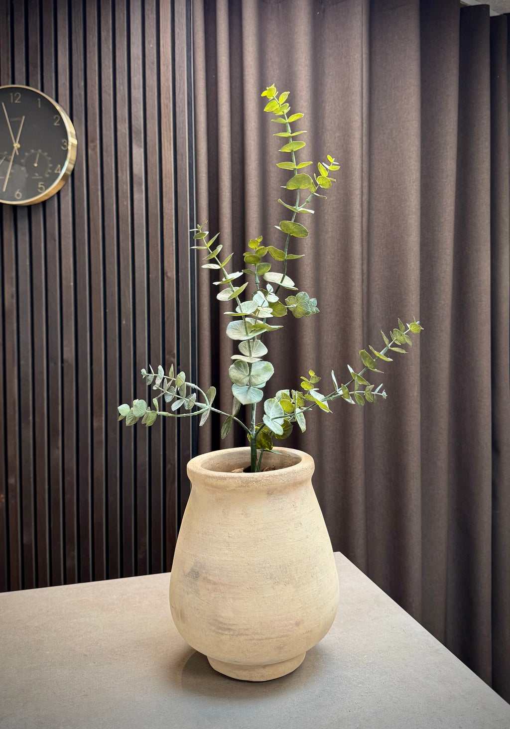 Eucalyptus gren 75 cm