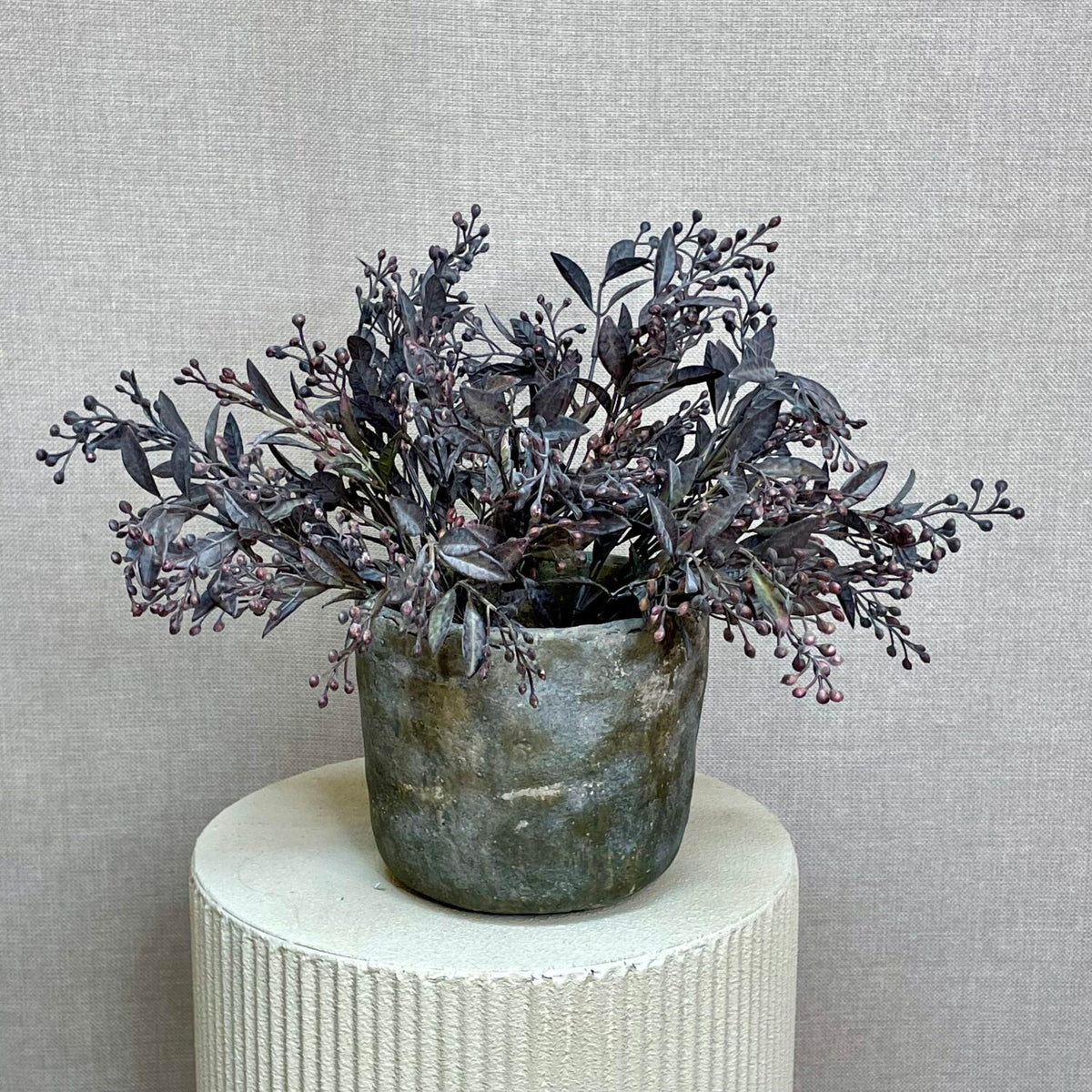 Schinus purple h 35 cm