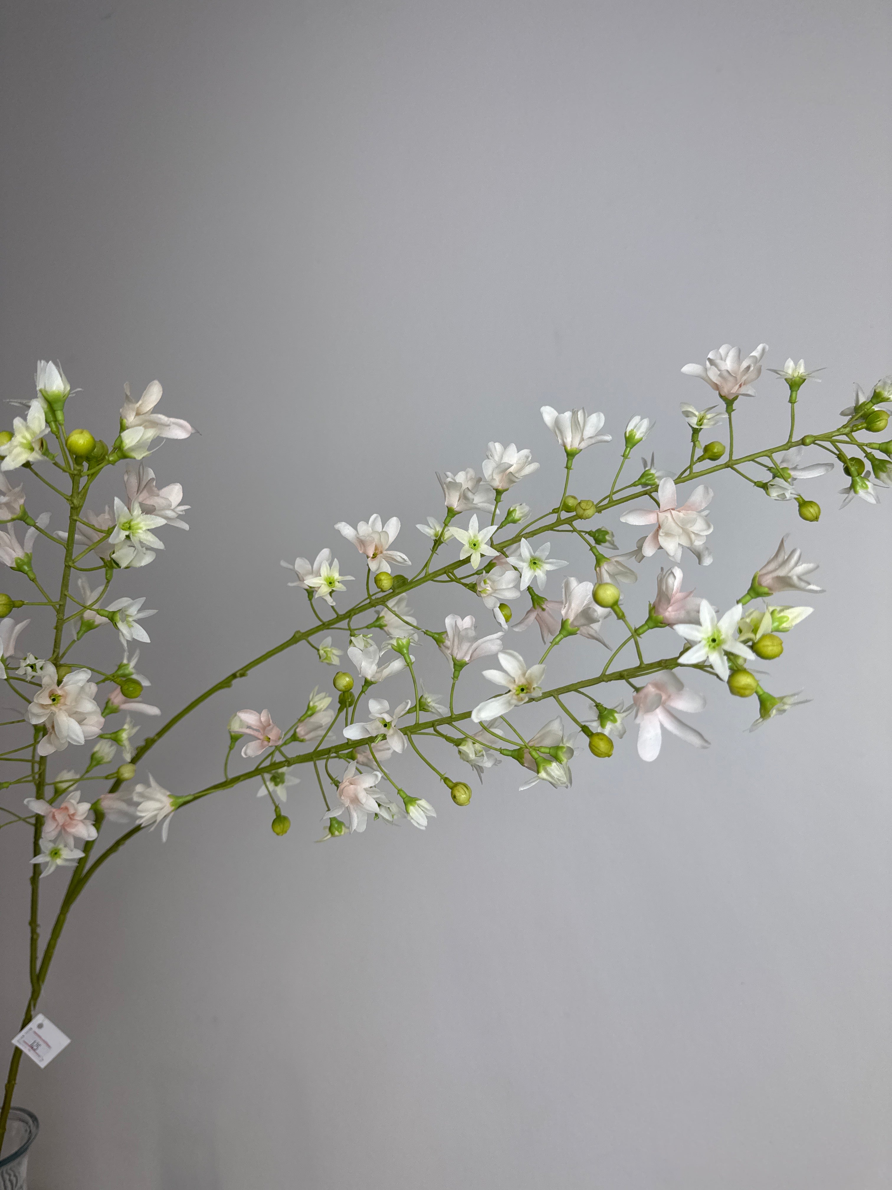 Hvid lang blomsterstilk