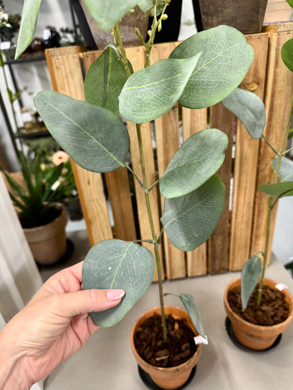 Eucalyptus 87 cm grøn