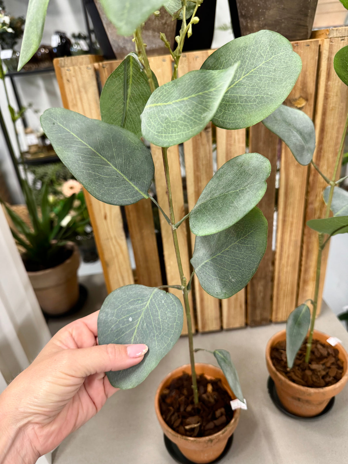 Eucalyptus 87 cm grøn